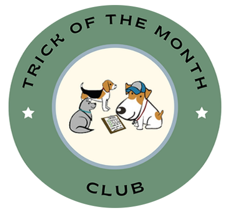 Trick of the Month Club Membership at Off The Leash Doggie Daycare