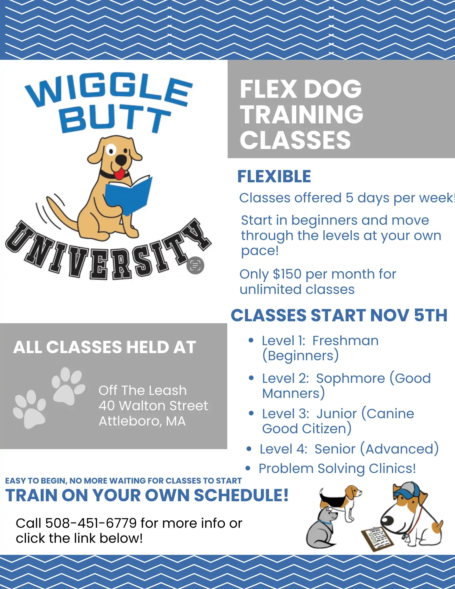 Flex dog training classes at Off the Leash Doggie Daycare