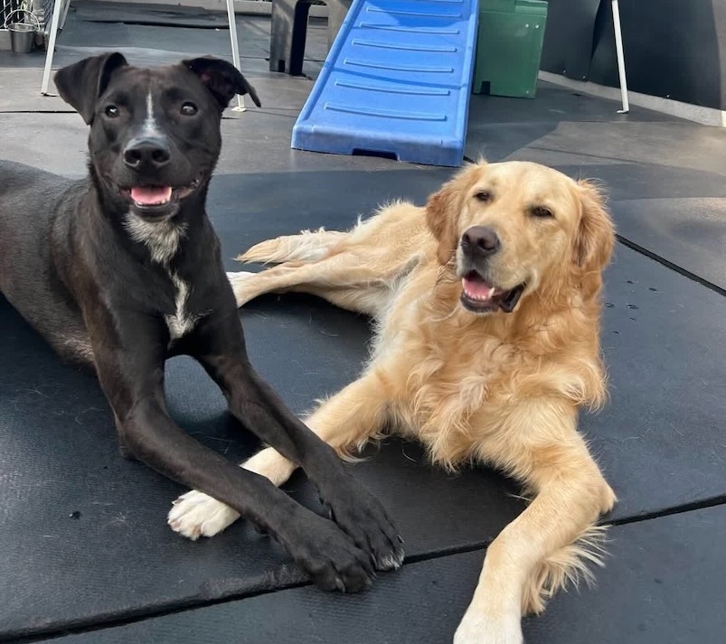 539558288_1335540838580755_1503917003823040763_n