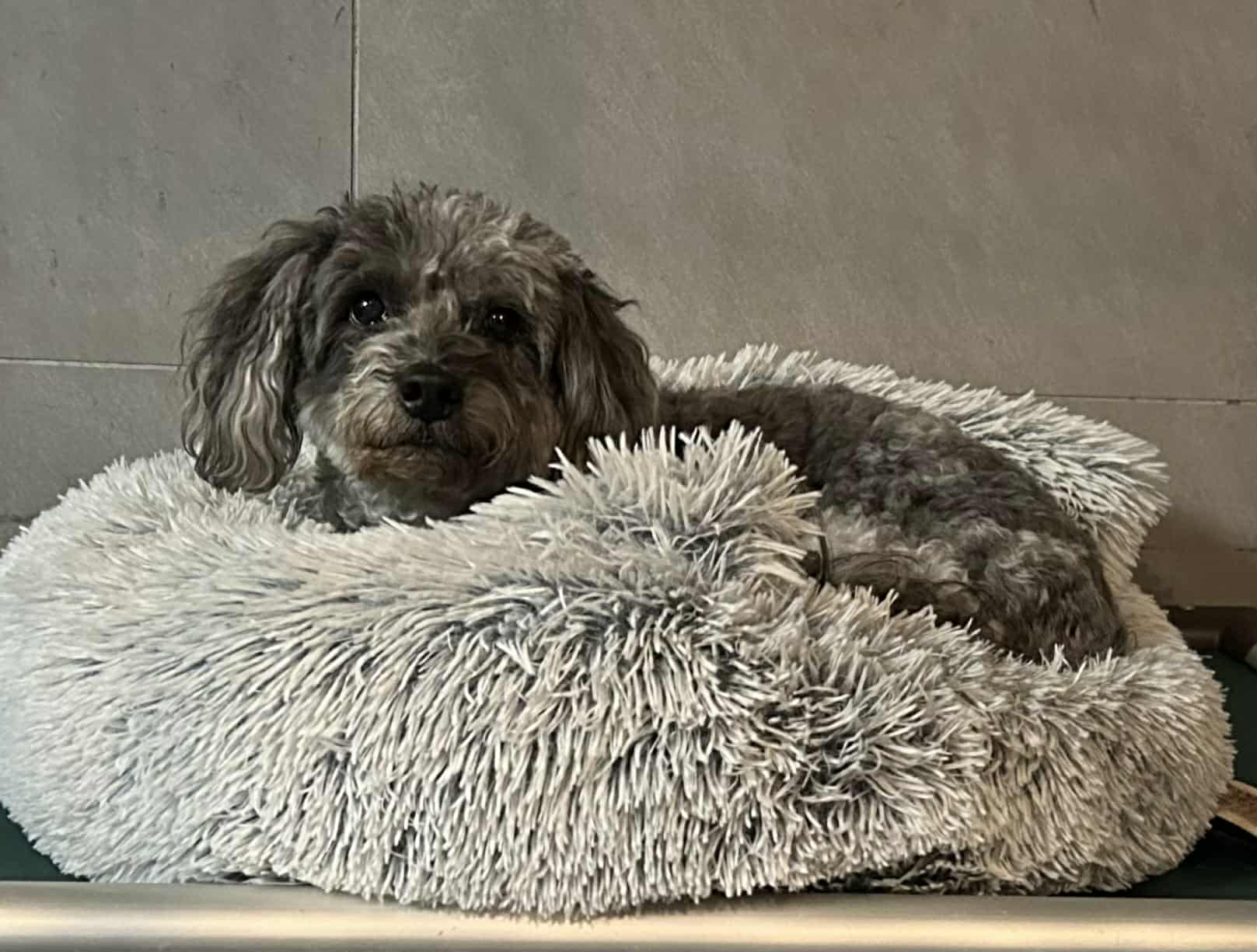 9E00C146-61F2-4194-BCE3-6CED15DB00C3