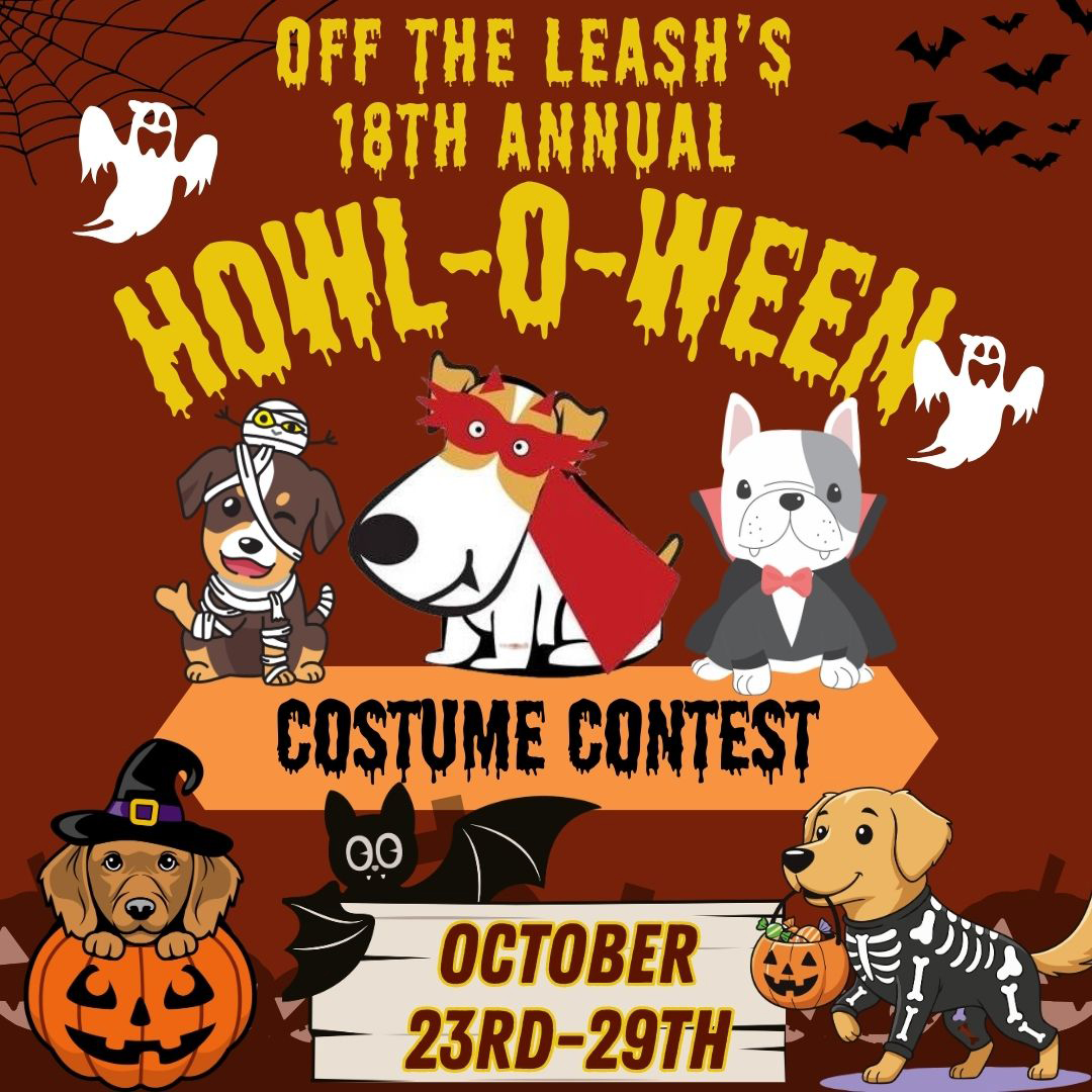 Howl-O-Ween Costume Contest