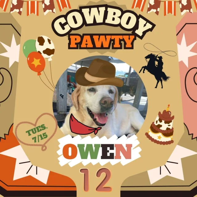 We had a rootin’ tootin’ good time throwin’ a wild west pawty for our favorite cowboy, Owen, to celebrate his 12th birthday! 🤠🐾 He spent the day surrounded by his best pup pals, enjoying tasty treats, tail wags, and plenty of yeehaws! 💛🐶🐎 Happy Birthday, Owen — we loved celebrating you, partner! 🎉🌵🐾